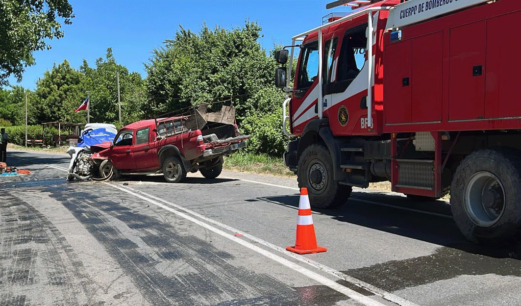 Dos personas fallecidas y un herido grave deja colisión frontal en Ruta CH-115, sector Las Majadas