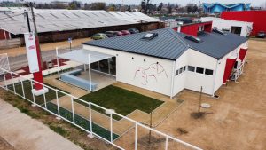 Delincuentes roban artículos tecnológicos en Clínica Veterinaria Municipal de Talca durante la madrugada